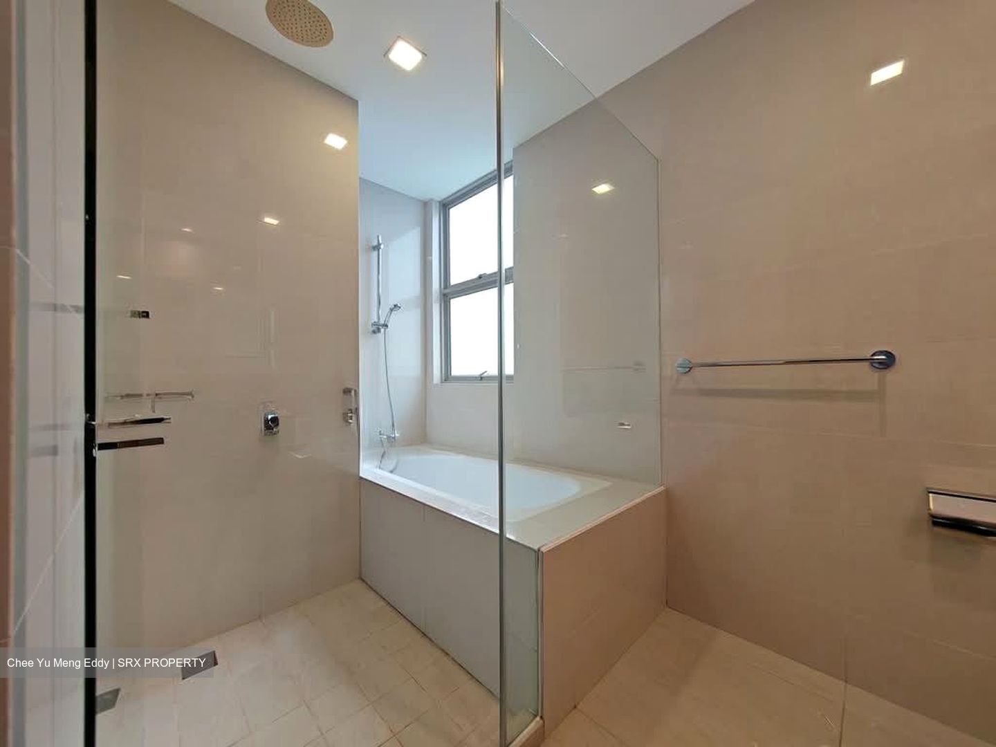 Nassim Regency (D10), Condominium #554607581